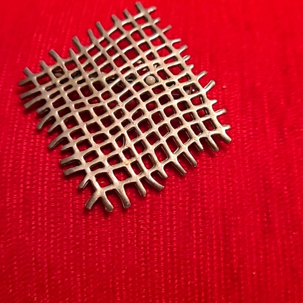 Silvertone pin